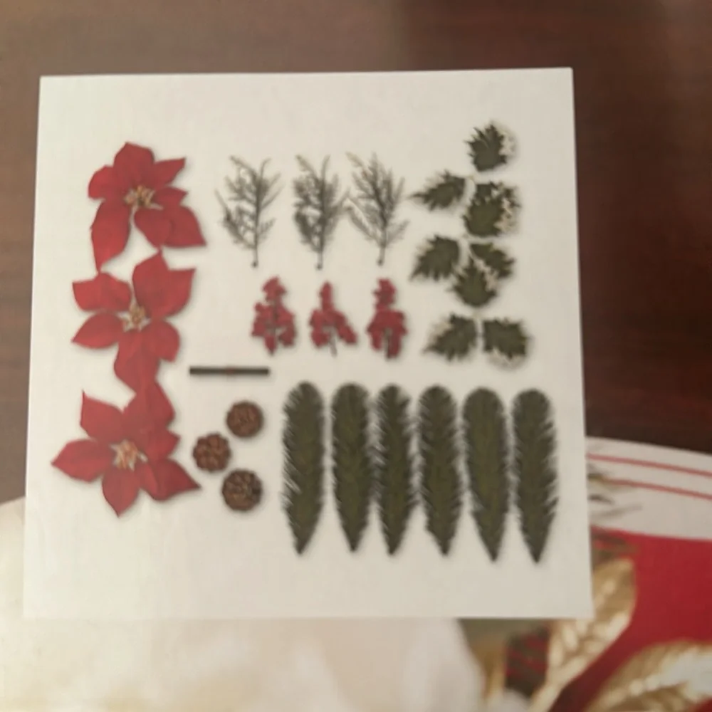 NWT: Ashland Floral Accent Poinsettia Mix
